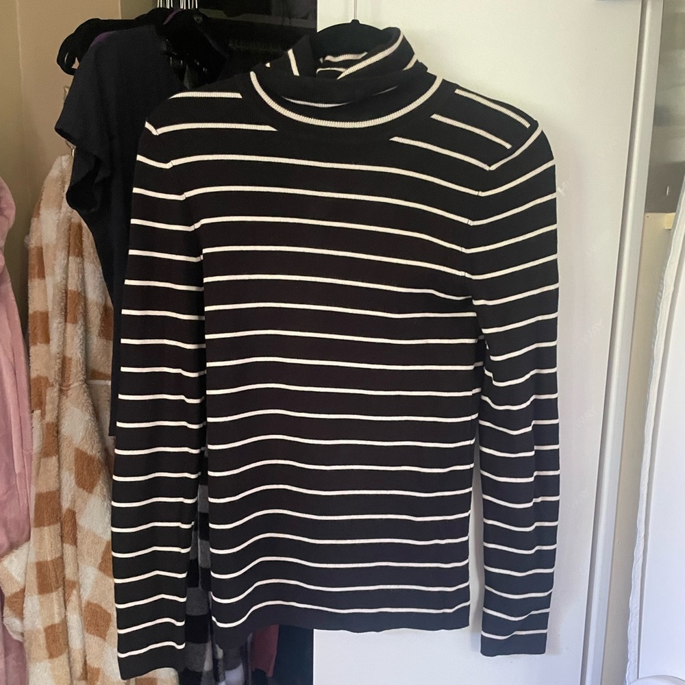 Premise Studio (L) long sleeve turtleneck sweater